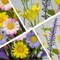 Artificial Spring Flowers 12 Pack Floral Picks 17” Flower Stems with Forsythia and Green Leaves for Spring Summer Flower Arrangements Centerpieces Indoor Outdoor Decorations